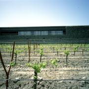 ArchitektInnen / KünstlerInnen: Herzog & de Meuron Architekten BSA/SIA/ETH<br>Projekt: Dominus Winery<br>Aufnahmedatum: 05/98<br>Format: 4x5'' C-Dia<br>Lieferformat: Dia-Duplikat, Scan 300 dpi<br>Bestell-Nummer: 7821/B<br>