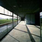 ArchitektInnen / KünstlerInnen: Herzog & de Meuron Architekten BSA/SIA/ETH<br>Projekt: Dominus Winery<br>Aufnahmedatum: 05/98<br>Format: 4x5'' C-Dia<br>Lieferformat: Dia-Duplikat, Scan 300 dpi<br>Bestell-Nummer: 7805/A<br>